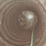 60 फूट खोल विहिरीतून गायीला सुखरूप बाहेर काढले:मोर्शीजवळ 'वारसा' संस्थेच्या प्रयत्नांमुळे मिळाले जीवदान