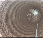 60 फूट खोल विहिरीत पडलेल्या गोमातेला जीवदान:सुखरूप बाहेर काढण्यात यश, वारसा संस्थेने घेतला पुढाकार, प्राणीप्रेमींतून केले अभिनंदन‎