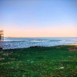 उजनीत 40.07 % उपयुक्त पाणी, यंदा पाणलोटातील शिवार हिरवागार:गतवर्षीच्या तुलनेत 20 टक्के पाणी अधिक, 25 एप्रिल रोजी नदीतून 12दिवसांचे आवर्तन सोडणा