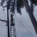 वीजपुरवठा खंडित झाल्यास टोल फ्री क्रमांकावर तक्रार करा:महावितरणचे ग्राहकांना आवाहन; वेळेत निराकरणासाठी ऑनलाइन पर्याय वापरा