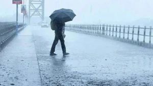 Maharashtra-Weather-IMD-Warns-Rain-in-Next-48-Hours.webp.webp