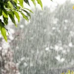 Sayali-Gfx-2026-03-20T094818.606.webp.webp