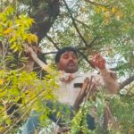 वीजपुरवठा खंडित झाल्याने पीक नुकसान; शेतकऱ्याचा आत्महत्येचा प्रयत्न:लेखी आश्वासनानंतर अंजनगावमधील शेतकरी झाडावरून खाली उतरला