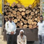हिंगोलीत वन विभागाची धडक कारवाई:विनापरवाना सागवान लाकडासह टेम्पो जप्त, उमरा फाटा शिवारात तस्करांचा डाव उधळला