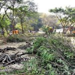 निसर्गप्रेमींचा नाशिक महापालिकेवर मोर्चा:जोरदार घोषणाबाजी करत वृक्षतोडीच्या निर्णयाचा केला विरोध; सिंहस्थ कुंभमेळ्यासाठी झाडांची कत्तल!