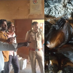 औंढा पंचायत समितीच्या गटसाधन केंद्राला आग:संकलीत मूल्यमापन चाचणीचे १२००० पेपर भस्मसात; शार्ट सर्किटने आग लागल्याचा अंदाज