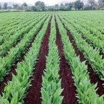 9000 Bottles Ordered from Mumbai, Pune, Delhi