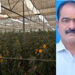 प्रगतिशील शेतकरी:पाण्याचे बजेट, मार्केटिंगद्वारे जिरायत शेतीतून 96 लाखांचे उत्पन्न; राहात्याचे शेतकरी सुभाष गडगेंचा आदर्श पॅटर्न