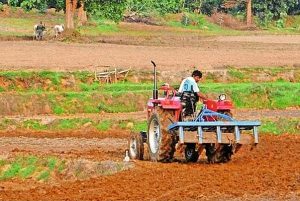 240_17793691236a0f04a36a10f_tractormashaga.jpg
