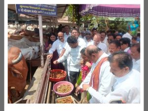 35790a9a-2e45-4dc2-8f7a-541f599daee4_1779025906156.jpg