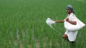 Agriculture-News-fertilizer-price-hike.webp.webp