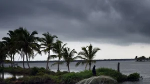 Monsoon-News-Update.webp.webp