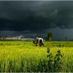 Monsoon-Update-18-June.webp.webp