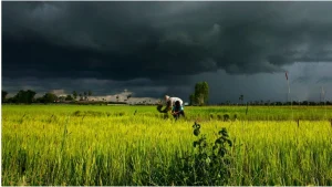 Monsoon-Update-18-June.webp.webp