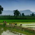 Monsoon-Update-Imp-Advice-for-farmers.webp.webp