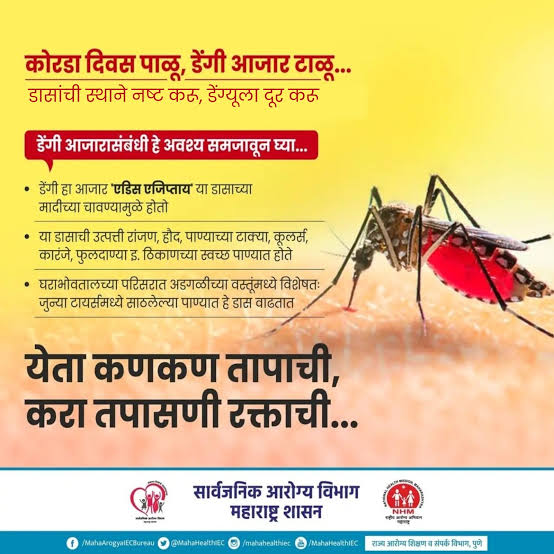 WhatsApp-Image-2026-05-15-at-15.50.29.jpeg