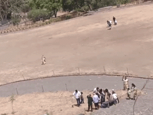 ezgifcom-animated-gif-maker-3_1777797826.gif