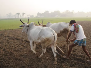 image-resize-color-correction-and-ai-2026-05-19t16_1779787095.png