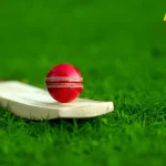 sayali-web-2026-05-01T160100.791.webp.webp