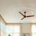 sayali-web-2026-05-18T185216.799.webp.webp