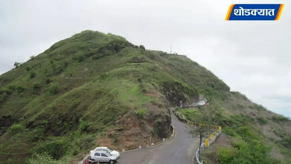 sayali-web-2026-05-23T182721.727.webp.webp
