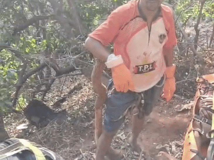 whatsappvideo2026-05-25at83414am-ezgifcom-resize_1779679125.gif