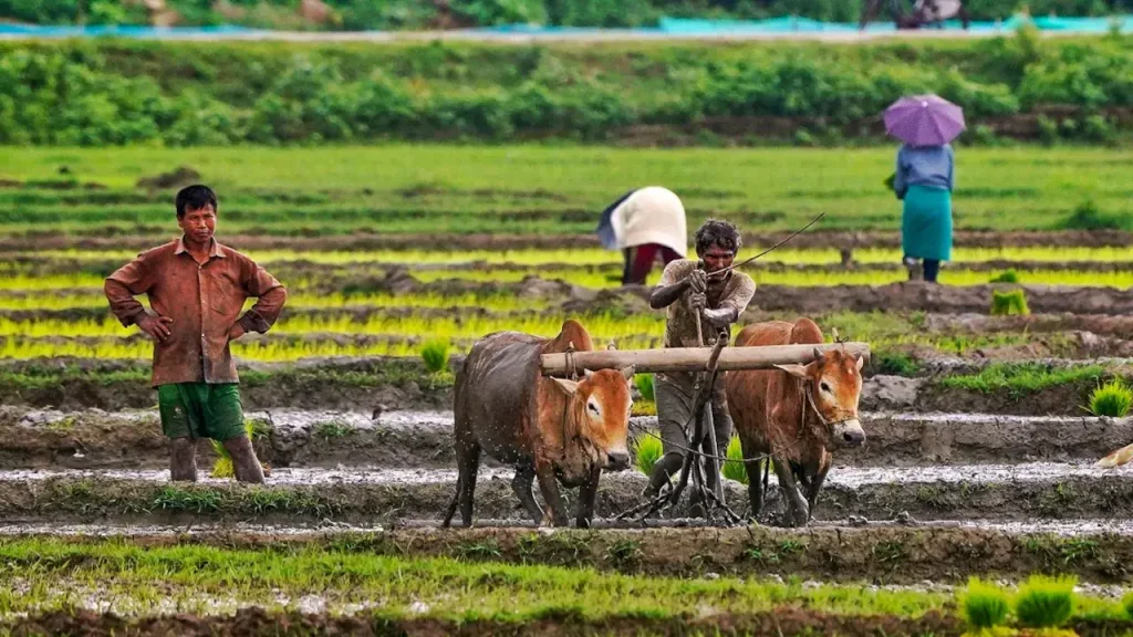 66f2b7a235857-indian-farmer-monsoon-kharif-055933789-16x9-1.webp.webp