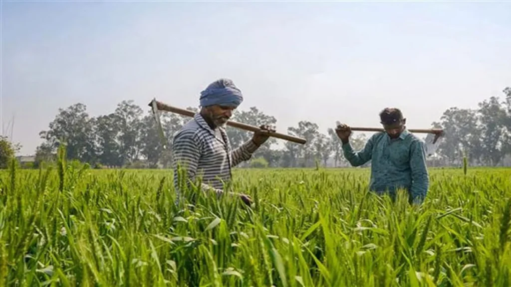 Good-News-For-Farmers-Modi-Government-Hikes-Ethanol-Prices-Budget-On-1st-February.webp.webp