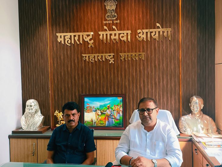 देशी गोवंश रक्षणासाठी 22 जूनपासून 'गोमाता संवाद यात्रा':महाराष्ट्र गोसेवा आयोग आणि पशुसंवर्धन विभागाचे संयुक्तपणे आयोजन