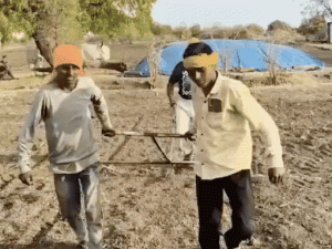 jalgaon-1_1781163437.gif