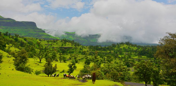 अकोल्यात मान्सूनच्या मध्यातच 112 टक्के पावसासह श्रावणाचे दमदार स्वागत