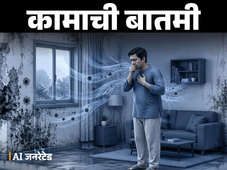 Home Damp Prevention Remedies; Monsoon Fungus Health Risk