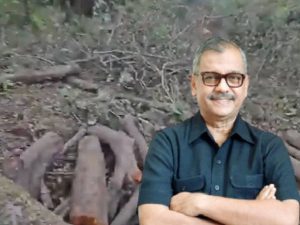 Maharashtra Karjat Torrent Power Project; Ujjwal Nikam Clarifies Facts