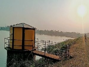 10 दिवसांत निफाडचे किमान तापमान 8 अंशांनी घसरले:दिवसा प्रचंड उकाडा, रात्री गारवा तर पहाटे थंडी, निफाड तालुक्याचे तापमान 12.7 अंश सेल्सिअस